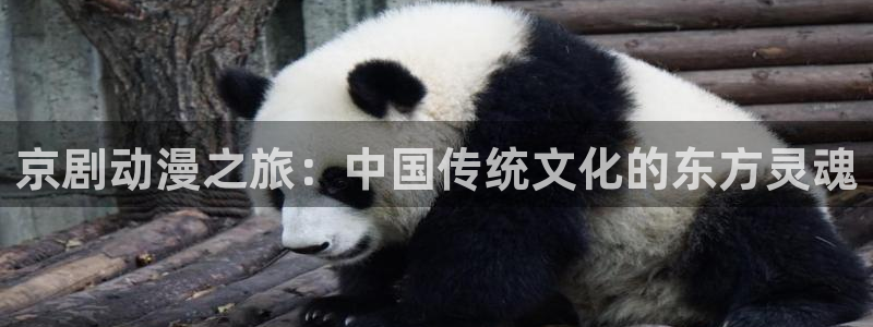 www.动漫之家.com：京剧动漫之旅：中国传统文化的东方灵魂