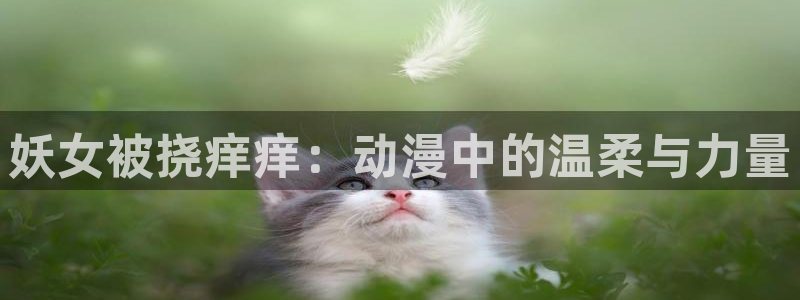 动漫之家下载的漫画在哪个文件：妖女被挠痒痒：动漫中的温柔与力量