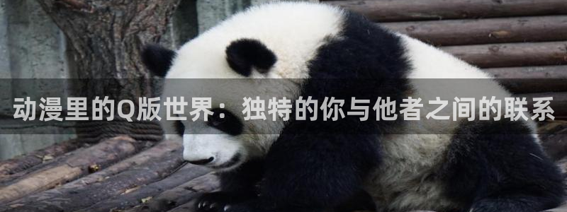 动漫之家软件：动漫里的Q版世界：独特的你与他者之间的联系