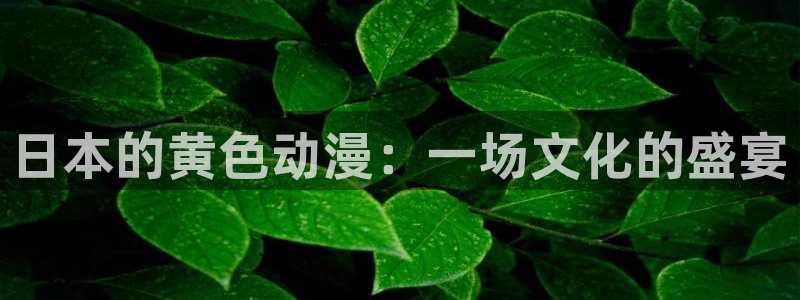 app动漫之家：日本的黄色动漫：一场文化的盛宴