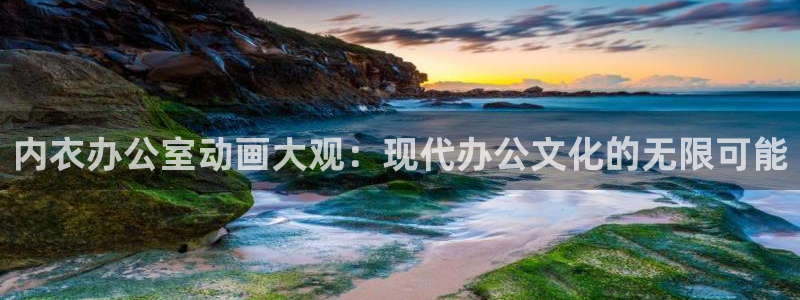 动漫之家3.8.2：内衣办公室动画大观：现代办公文化的无限可能