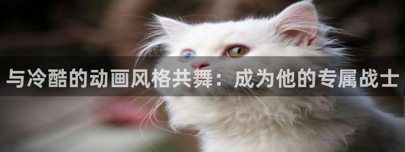 动漫之家可以看：与冷酷的动画风格共舞：成为他的专属战士