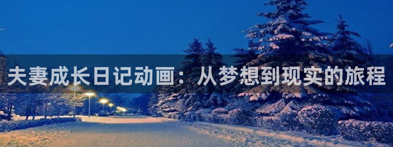 动漫之家怎么看漫画看不了：夫妻成长日记动画：从梦想到现实的旅程