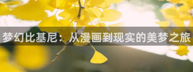 动漫之家x：梦幻比基尼：从漫画到现实的美梦之旅
